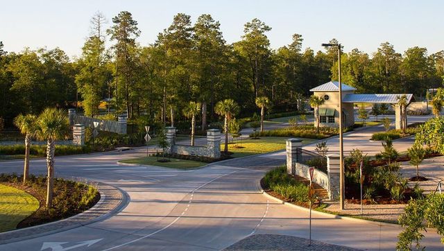 16875 Pink Wintergreen Drive, Conroe, TX 77385