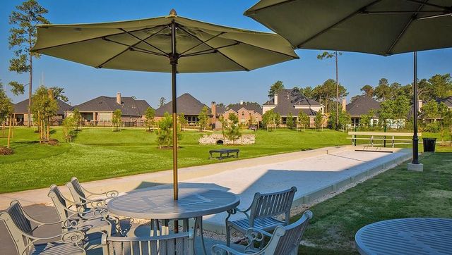 16875 Pink Wintergreen Drive, Conroe, TX 77385