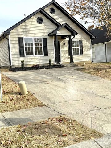 1135 Hannah Rae Court, Charlotte, NC 28214