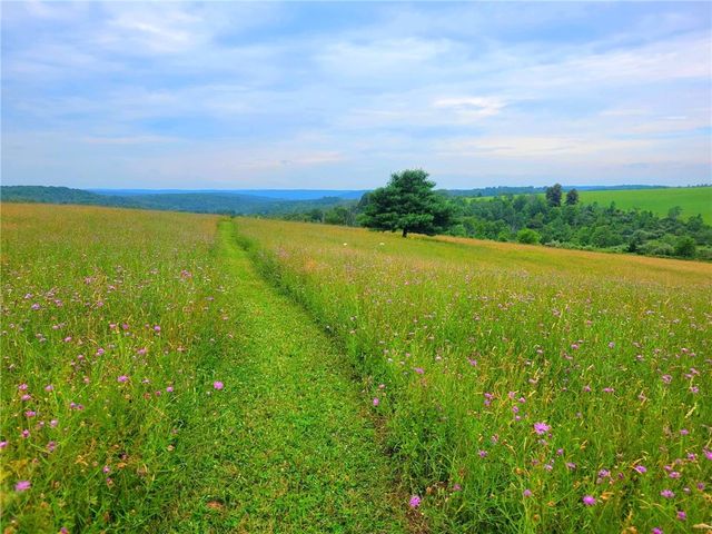 825 Deyo Road, Caton, NY 14830