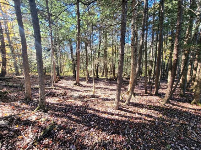 825 Deyo Road, Caton, NY 14830