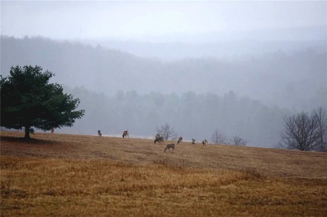 825 Deyo Road, Caton, NY 14830