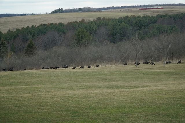 825 Deyo Road, Caton, NY 14830