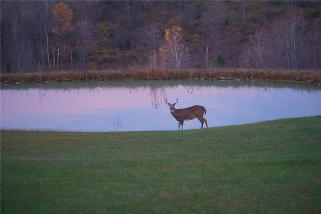 825 Deyo Road, Caton, NY 14830