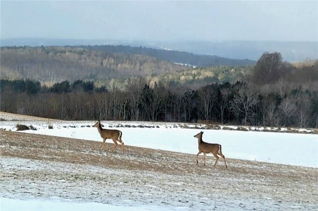 825 Deyo Road, Caton, NY 14830