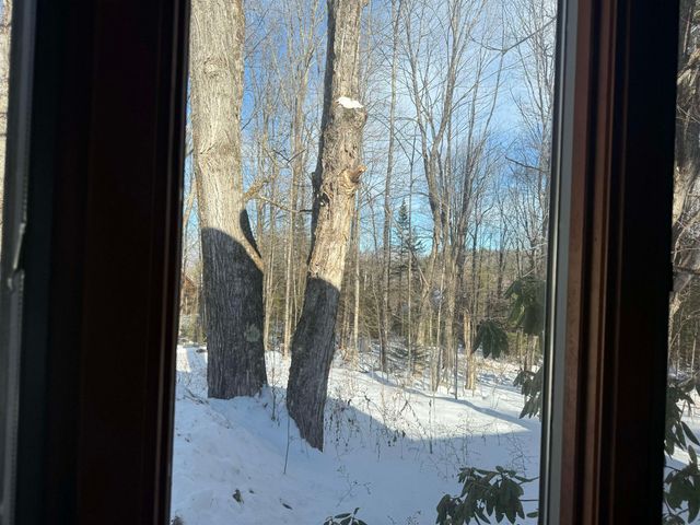 1529 Belmont Road, Mount Holly, VT 05730