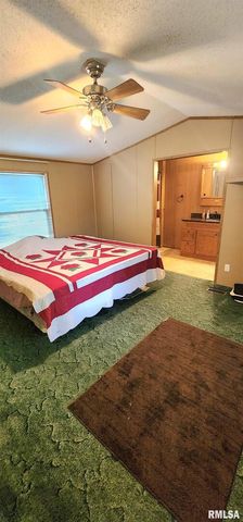 210 E Old Plank Rd Road, Chester, IL 62233