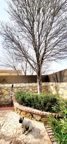 3113 Rustic Manor Place, El Paso, TX 79938