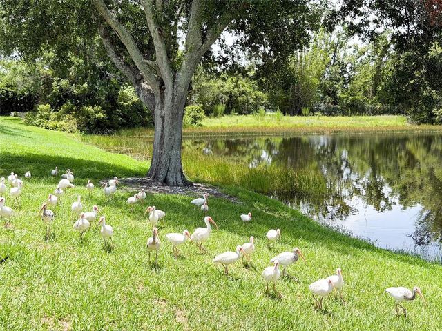 2705 CHATHAM CIRCLE, Kissimmee, FL 34746
