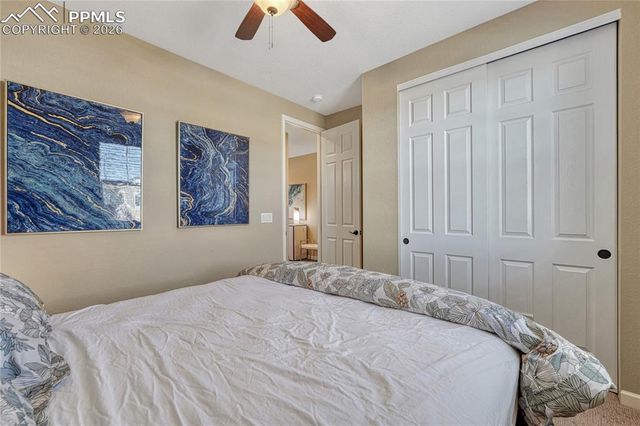 448 Blue Teal Drive, Castle Rock, CO 80104