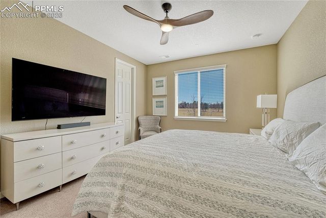 448 Blue Teal Drive, Castle Rock, CO 80104