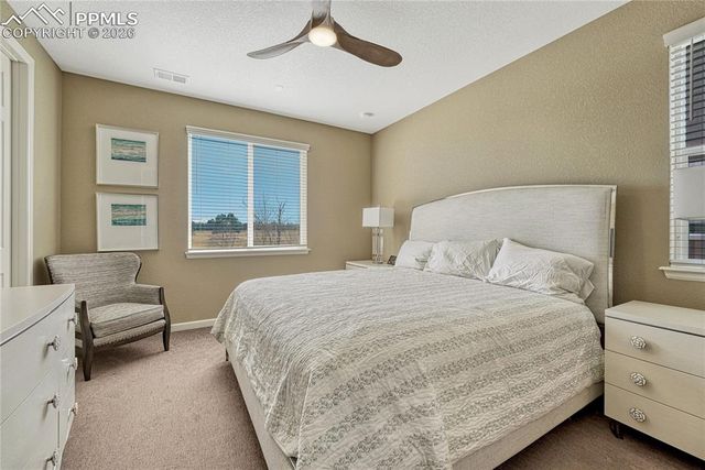 448 Blue Teal Drive, Castle Rock, CO 80104