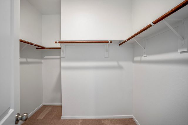 16915 Elm Grove Road, Conroe, TX 77302