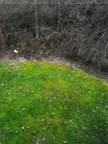 73 Calloway Camp Road, Verdunville, WV 25649