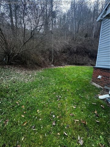 73 Calloway Camp Road, Verdunville, WV 25649