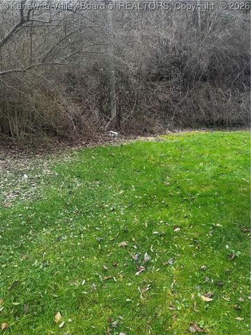 73 Calloway Camp Road, Verdunville, WV 25649