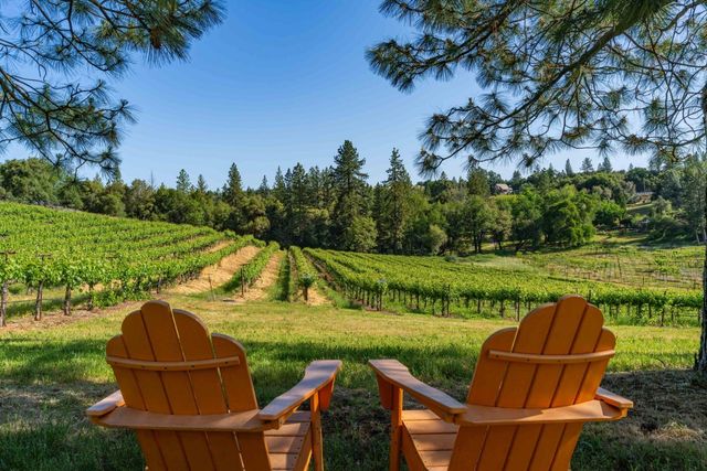 16915 Red Mule Rd, Fiddletown, CA 95629