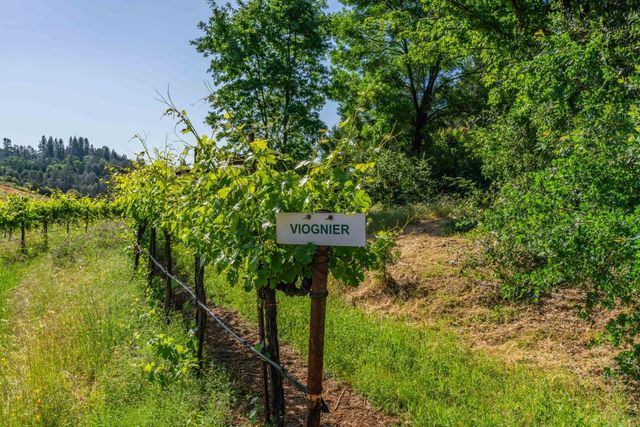 16915 Red Mule Rd, Fiddletown, CA 95629