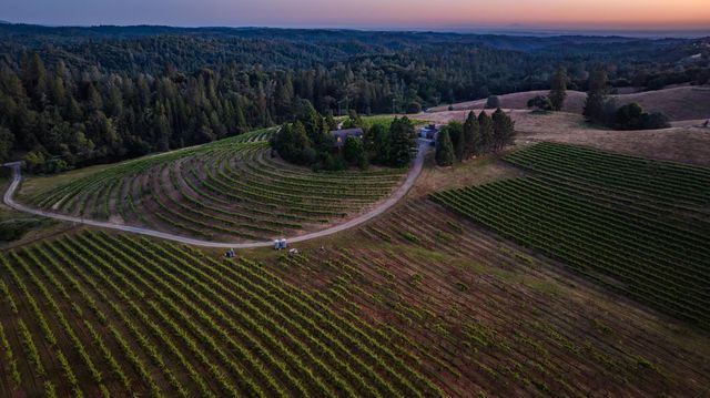 16915 Red Mule Rd, Fiddletown, CA 95629