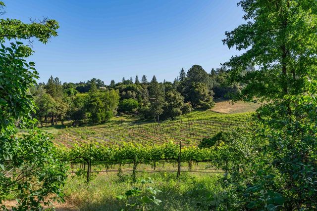 16915 Red Mule Rd, Fiddletown, CA 95629