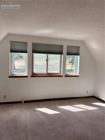 36 Summit Lake Drive, Divide, CO 80814