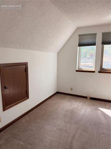 36 Summit Lake Drive, Divide, CO 80814