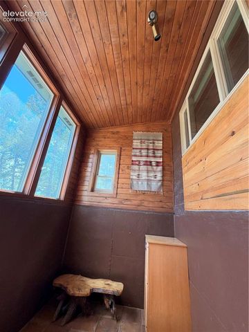 36 Summit Lake Drive, Divide, CO 80814