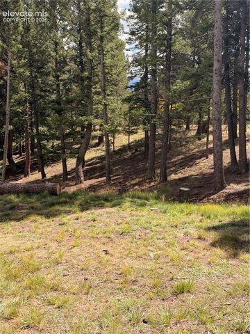 36 Summit Lake Drive, Divide, CO 80814