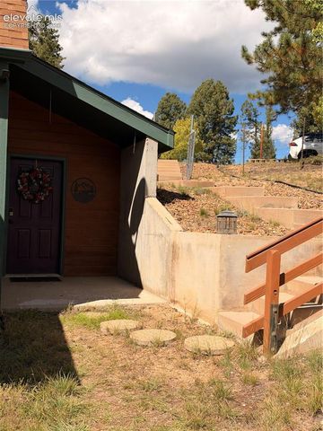 36 Summit Lake Drive, Divide, CO 80814