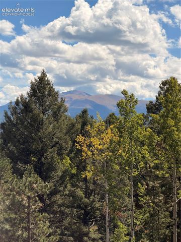 36 Summit Lake Drive, Divide, CO 80814