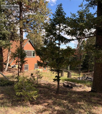 36 Summit Lake Drive, Divide, CO 80814