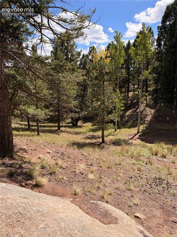 36 Summit Lake Drive, Divide, CO 80814