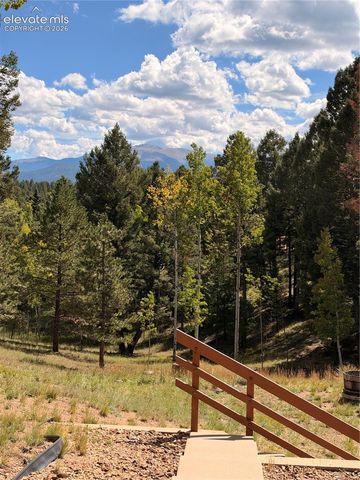 36 Summit Lake Drive, Divide, CO 80814