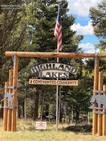 36 Summit Lake Drive, Divide, CO 80814