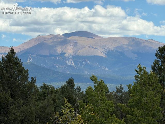 36 Summit Lake Drive, Divide, CO 80814