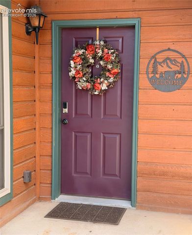 36 Summit Lake Drive, Divide, CO 80814