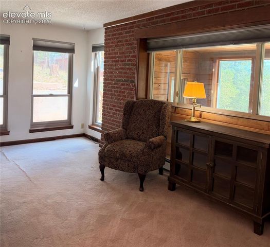 36 Summit Lake Drive, Divide, CO 80814