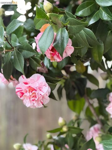 1799 1799 Pomona St, Crockett, CA 94525