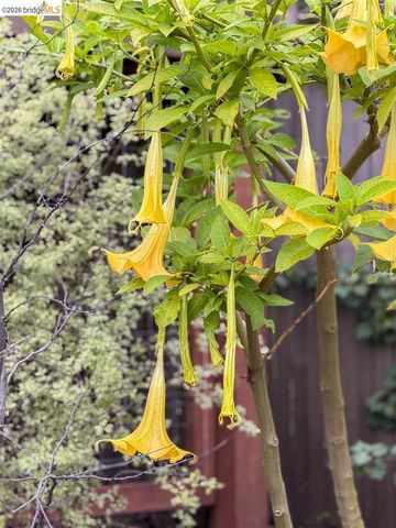 1799 1799 Pomona St, Crockett, CA 94525