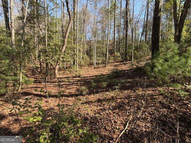 0 Black Falls Road, Dahlonega, GA 30533