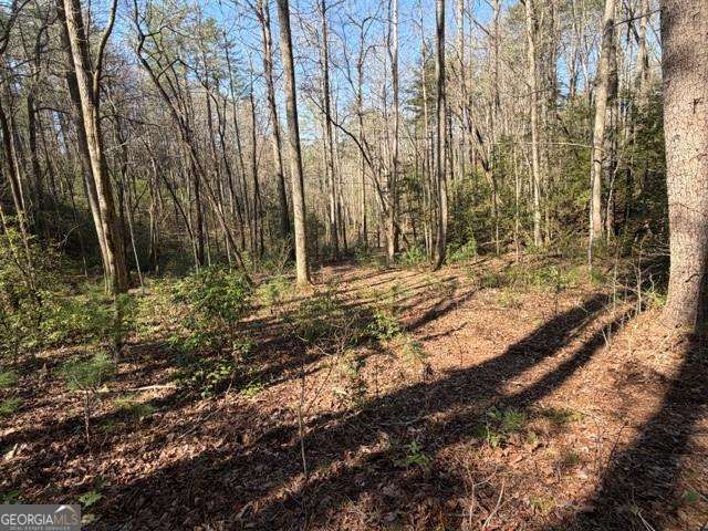 0 Black Falls Road, Dahlonega, GA 30533