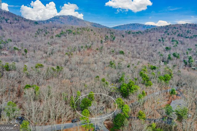 80 Mountain Mint Drive, Big Canoe, GA 30143