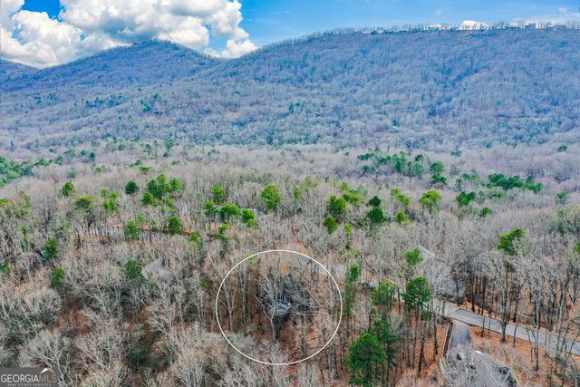 80 Mountain Mint Drive, Big Canoe, GA 30143