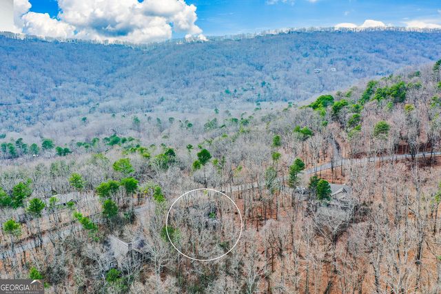 80 Mountain Mint Drive, Big Canoe, GA 30143