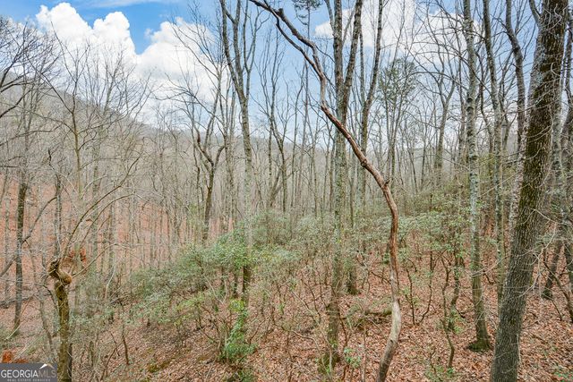 80 Mountain Mint Drive, Big Canoe, GA 30143