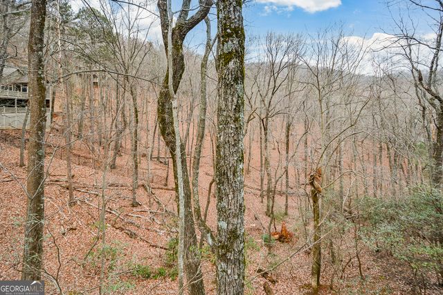 80 Mountain Mint Drive, Big Canoe, GA 30143