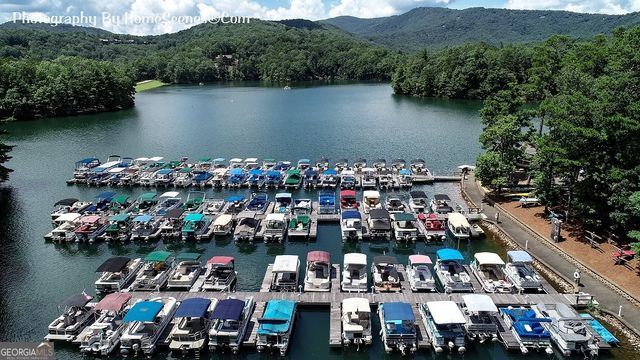 80 Mountain Mint Drive, Big Canoe, GA 30143