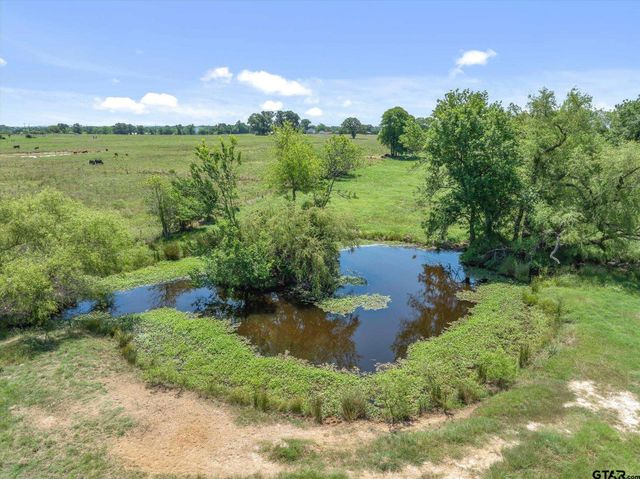 1026 VZ County Road 2115, Canton, TX 75103