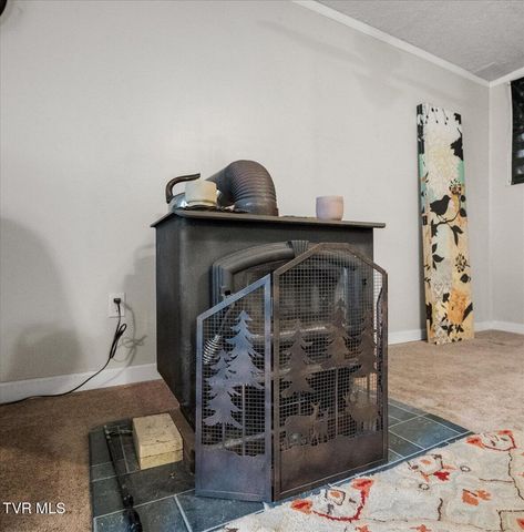 116 Regency Drive, Rogersville, TN 37857