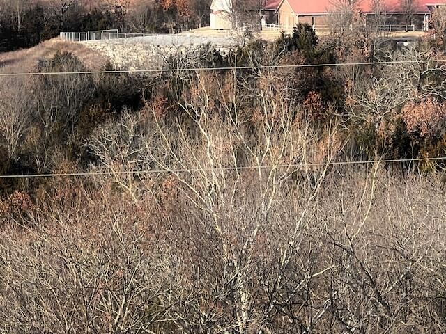 000 Historic 165 Highway, Hollister, MO 65672